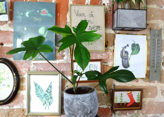 Mitä on biofiilinen suunnittelu ja miksi se on tärkeää?