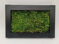 Sammaltaulu 20×30 cm