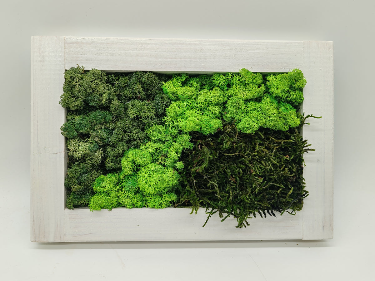 Sammaltaulu 20×30 cm