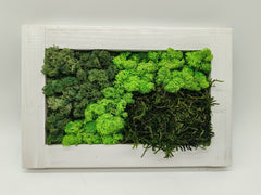 Sammaltaulu 20×30 cm