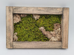 Sammaltaulu 20×30 cm