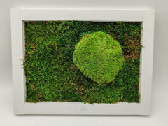 Sammaltaulu 30×40 cm