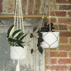 Macrame plant hanger